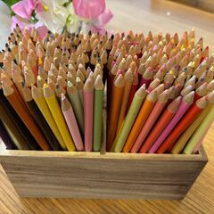 【お絵描きが好きなお子さん家庭に差し上げます】色鉛筆の画像