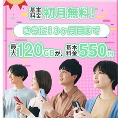 2/17迄📱‼️永年無料は締切間近‼️ - その他