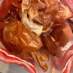 玉ねぎの皮 200g★50g300円送料込　同梱50g/100円...