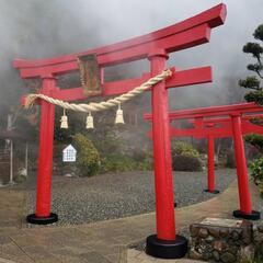🍹飲み・🍴食べ・⛩️趣味友サークルmember - 水戸市