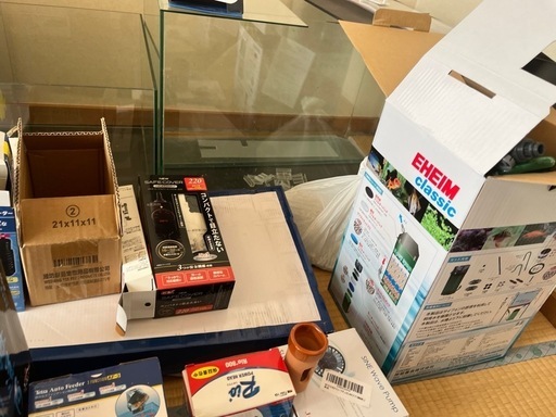 海水魚　サンゴ　飼育セット