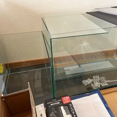 海水魚　サンゴ　飼育セットの画像