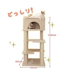 大きな猫ちゃんも安心なキャットタワーの画像