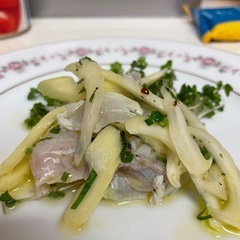 釣り仲間募集 − 福井県