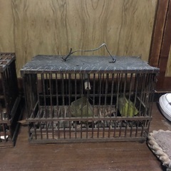 鳥小屋