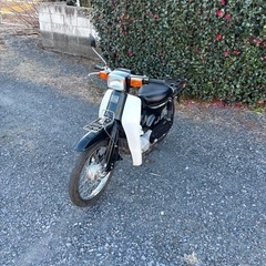 969.　動画あり　バーディ50 BA14A 2スト　原付　バイク　50cc 車体　埼玉の画像