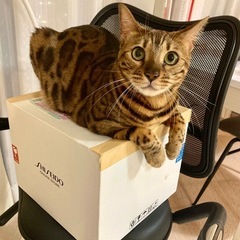 女性のお友達募集☺︎
