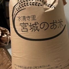 古米　令和5年度産