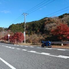 平日千葉房総ツーリング仲間募集