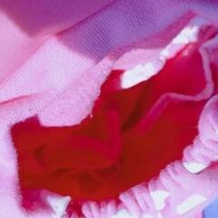 ミキハウス ベビーリュックの画像