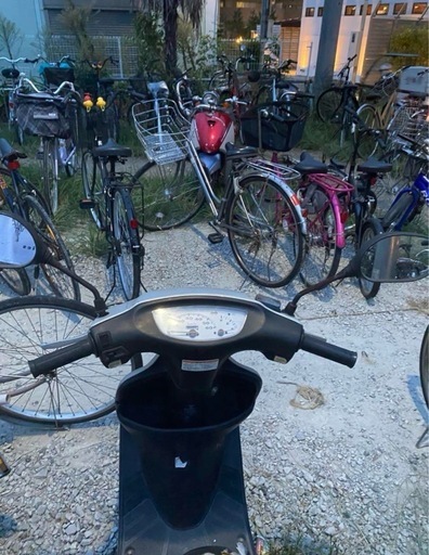 AF34 ライブDio ZX仕様 紫 値下げ交渉あり❗️ ホンダ・2サイクル