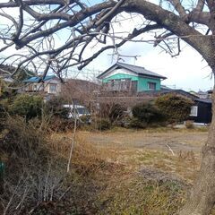 アトリエ利用可！別荘利用歓迎、自然豊かな場所で芸術を楽しみませんか？