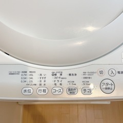 I742 ? 2024年製の最新モデル♪ TOSHIBA 洗濯機 （4.5㎏） ⭐ 動作確認