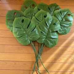 百均の造花モンステラ