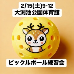 2/15(土)9-12 大渕池公園体育館　ピックルボール練習会