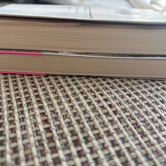 白鳥とコウモリの画像