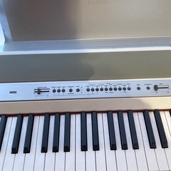 【引取限定】SP-250 KORG korg sp-250 電子ピアノ 3月23日から26日引き渡し