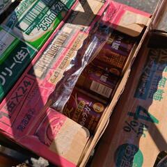 本日のみ！缶ビールチューハイなどバラ売りの画像