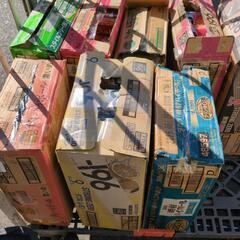 本日のみ！缶ビールチューハイなどバラ売りの画像