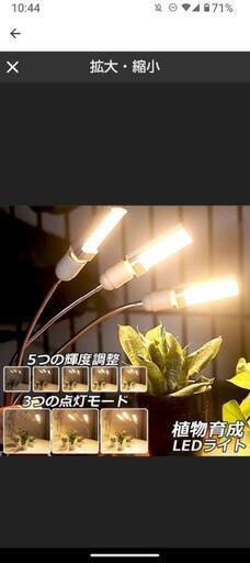 植物育成ライト