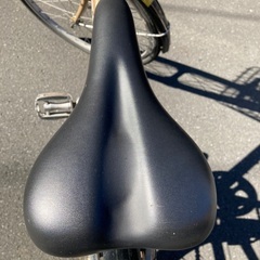 LOUIS GIRNEAU自転車無料で差し上げますの画像
