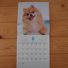 2025年カレンダーの画像