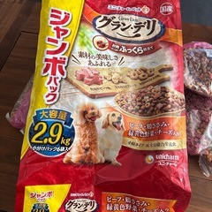 ドッグフード