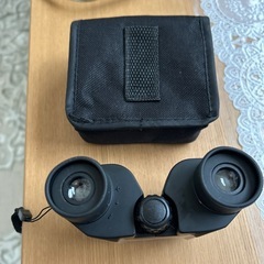 双眼鏡。手のひらに入るコンパクトサイズ。Raymay双眼鏡 RXB-303 8✖️21mm子供の音楽会や運動会に最適。の画像
