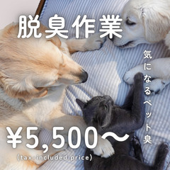 【人気】ペット臭・異臭対応可能！【予約必須】