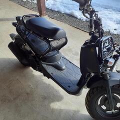 HONDA ZOOMER‼️