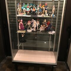 【ガラスケース、コレクションケース】大人２名必須。