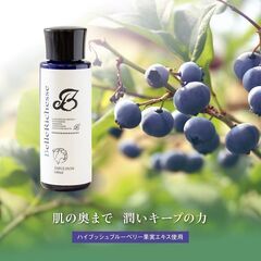 新品 Beauty Region 乳液 パラベンフリー 高保湿