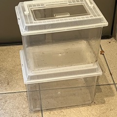 昆虫飼育ケース 2個セット