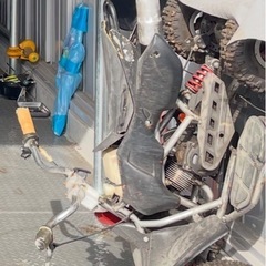 不動のバギーになります。車種等不明。