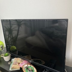 テレビ