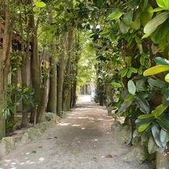 フリーランスで営業できる方必見‼️時間は自由の画像