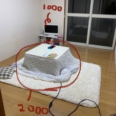 テレビ　カラーボックス　カーペット