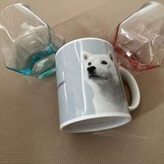 コップ (3個セット)の画像