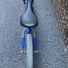 ストライダーの画像