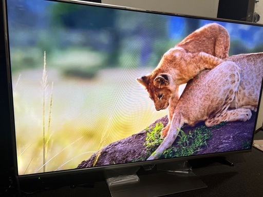 テレビ 55型 有機ELテレビ パナソニック ビエラ 地上・BS・110度CSデジタル 4Kチューナー内蔵 Panasonic VIERA  TV-55Z90A 新生活