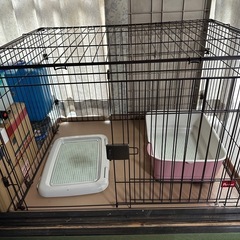 犬ゲージ　中型仕様の画像