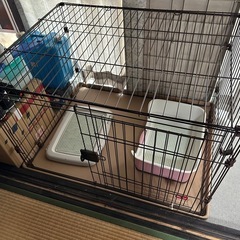 犬ゲージ　中型仕様の画像