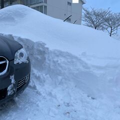 有料雪かき。2500円～。丹南、福井市南部