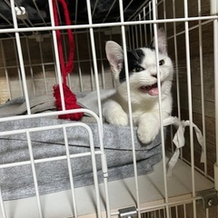 超甘えん坊✴︎初太郎くん