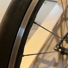 レーシング3 フルクラム　の画像