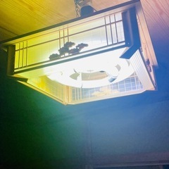 照明差し上げます。