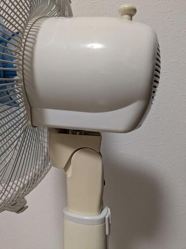 扇風機 (だび) 大正の季節、空調家電《扇風機》の中古あげます・譲ります｜ジモティーで不用品の処分