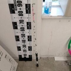 0210-278 釣り竿