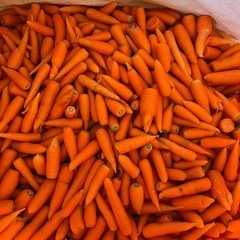 訳あり人参🥕詰め放題350円
