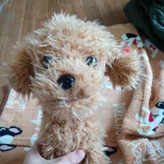決まりました（物々交換可能）ジャンク？？ココドル犬おもちゃ